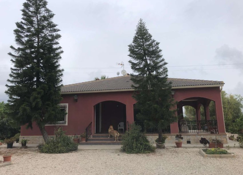 Resale - Casa o Chalet Independiente - Callosa De Segura