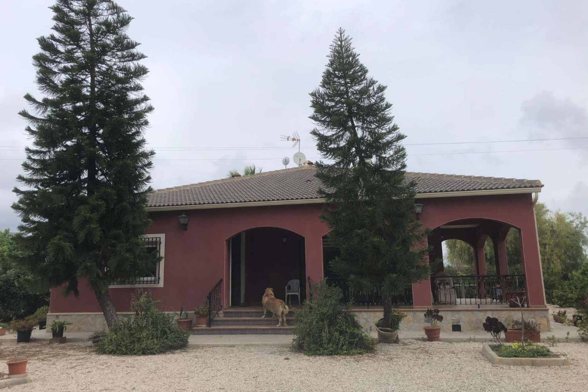 Resale - Casa o Chalet Independiente - Callosa De Segura