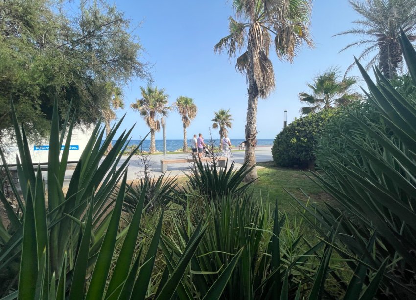 Resale - Commercial premises / Commercial unit / Retail space - Torrevieja - Comunidad valenciana