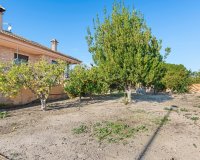 Resale - Estate / Farm / Plot - Beniel - Carretera de Beniel