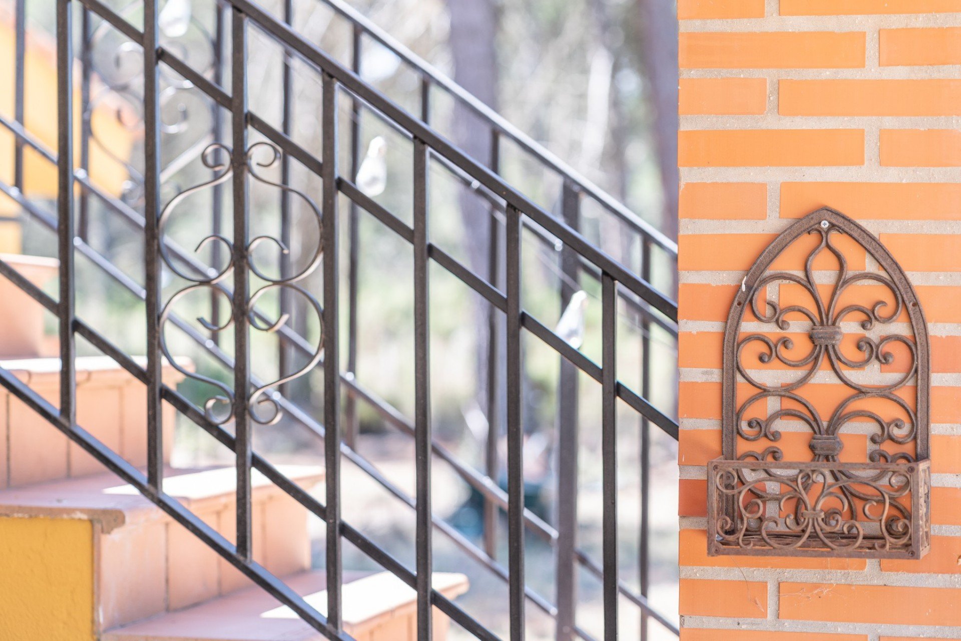 Resale - Estate / Farm / Plot - Bocairent - Inland