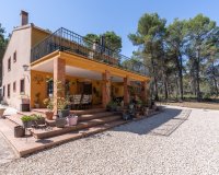 Resale - Estate / Farm / Plot - Bocairent - Inland