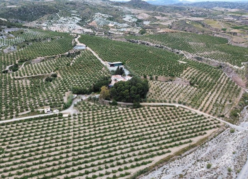 Resale - Estate / Farm / Plot - Murcia - Rincón de Seca