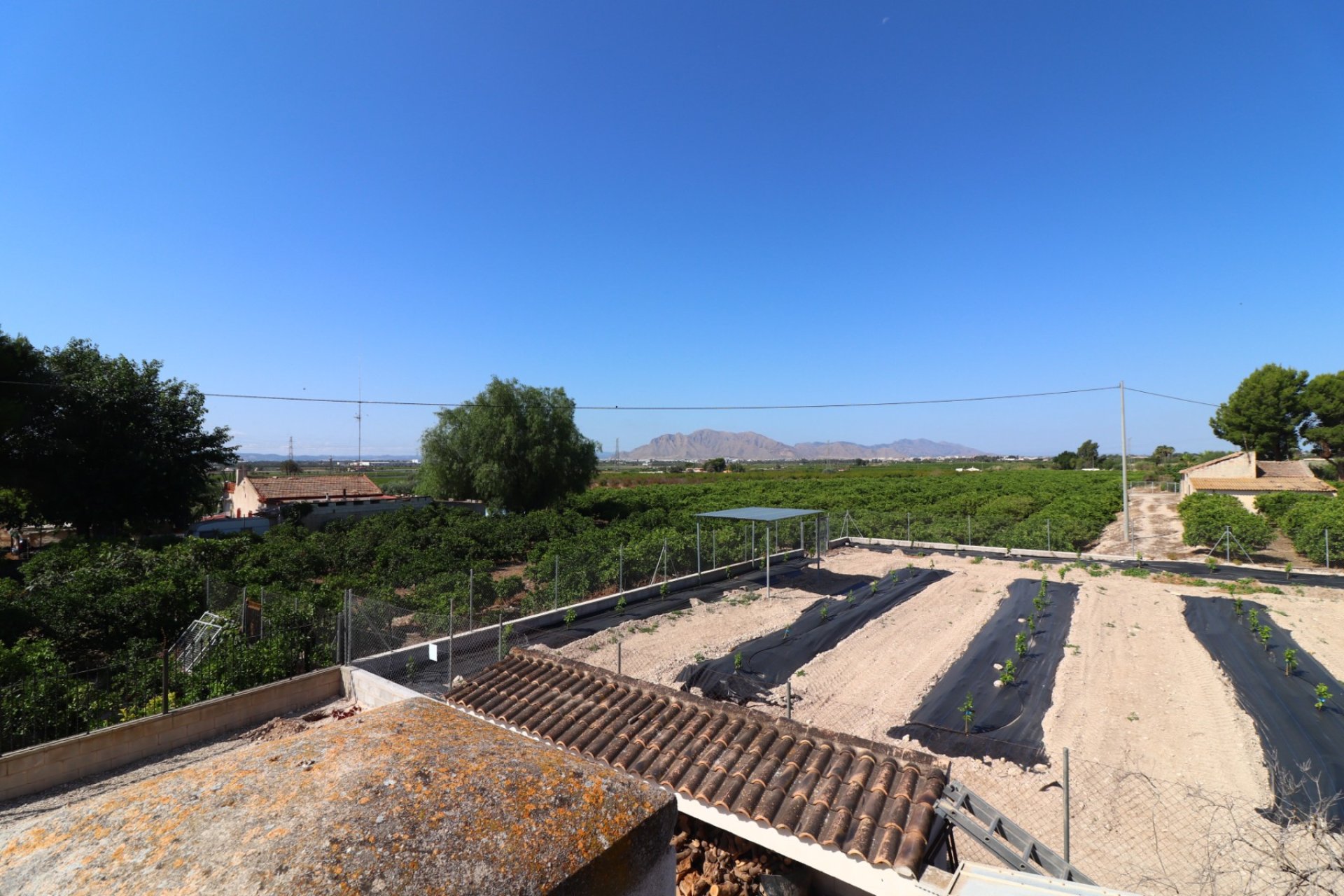Resale - Farm Estate / Country Property - Albatera - Albatera - Country