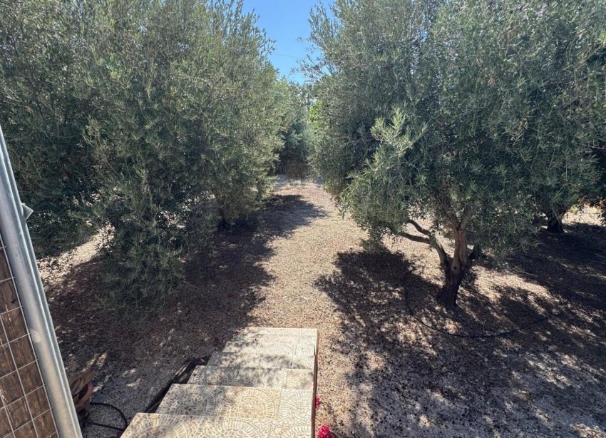 Resale - Farm Estate / Country Property - Albatera - BARRANCO SAN CAYETANO