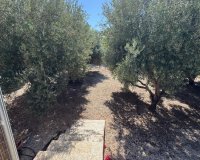 Resale - Farm Estate / Country Property - Albatera - BARRANCO SAN CAYETANO