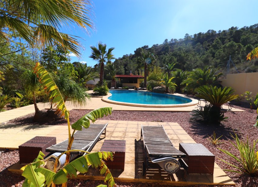 Resale - Farm Estate / Country Property - Aspe - Aspe - Country