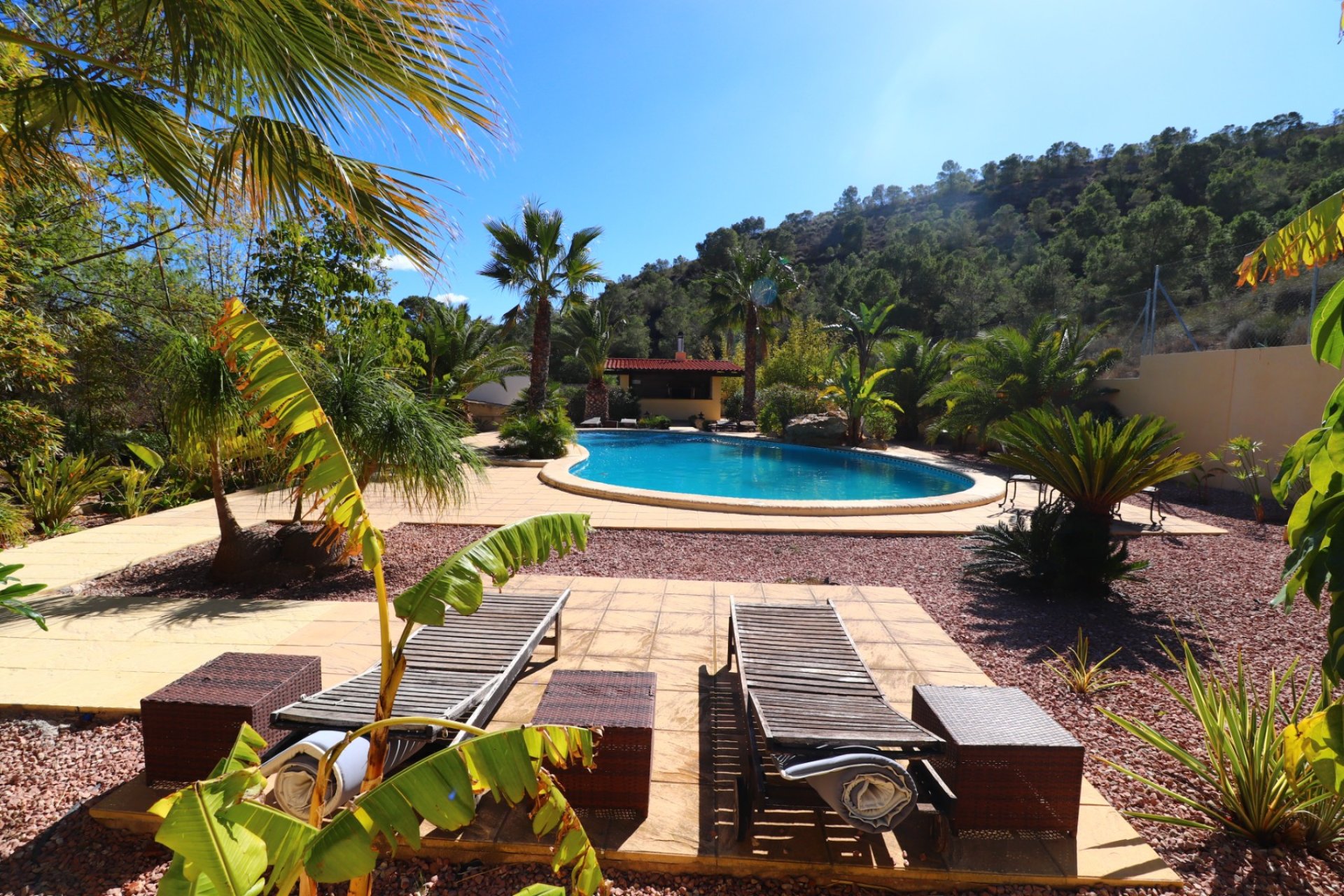 Resale - Farm Estate / Country Property - Aspe - Aspe - Country