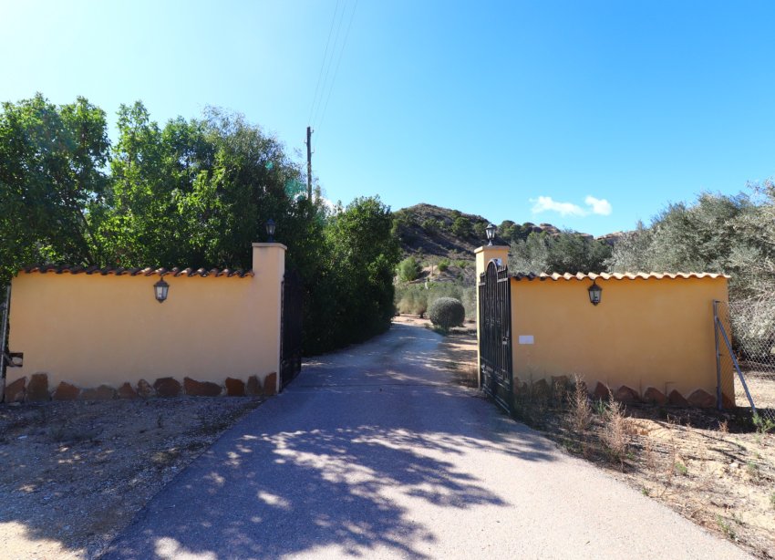 Resale - Farm Estate / Country Property - Aspe - Aspe - Country