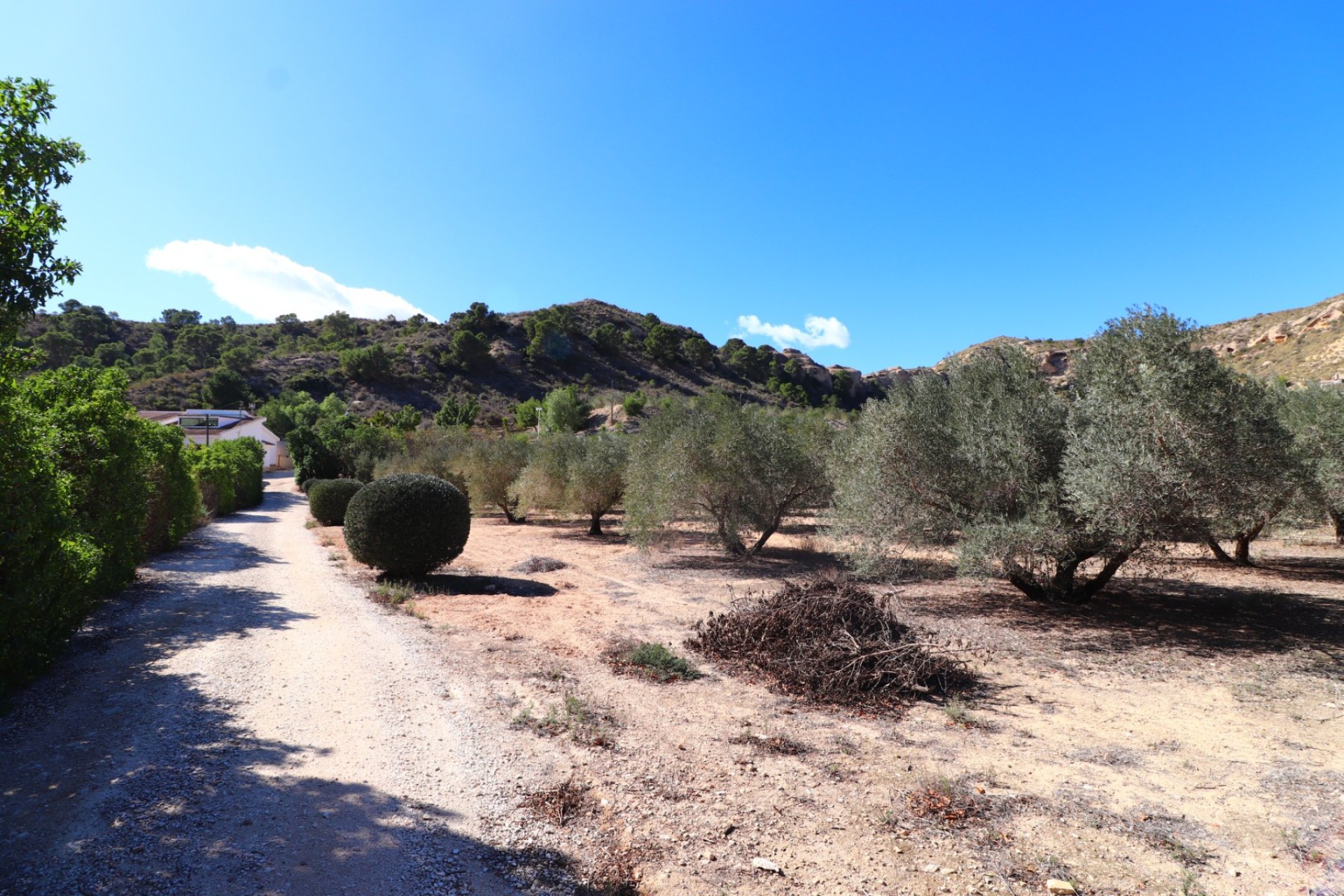 Resale - Farm Estate / Country Property - Aspe - Aspe - Country