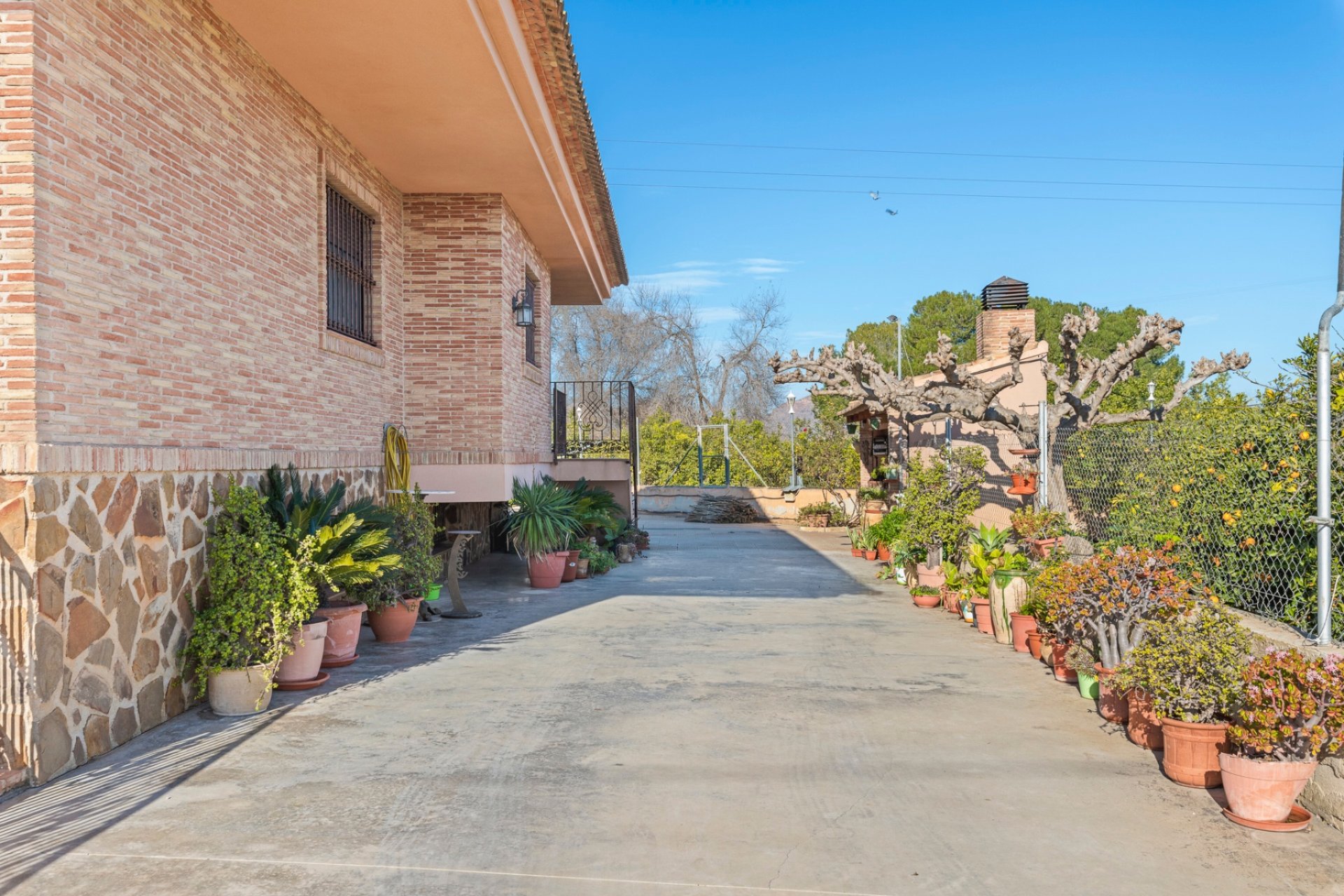 Resale - Farm Estate / Country Property - Beniel - Carretera de Beniel