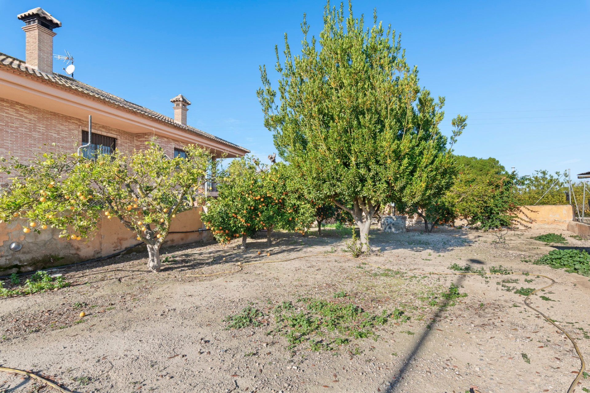 Resale - Farm Estate / Country Property - Beniel - Carretera de Beniel