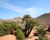 Resale - Farm Estate / Country Property - Cartagena - La Manga del Mar Menor