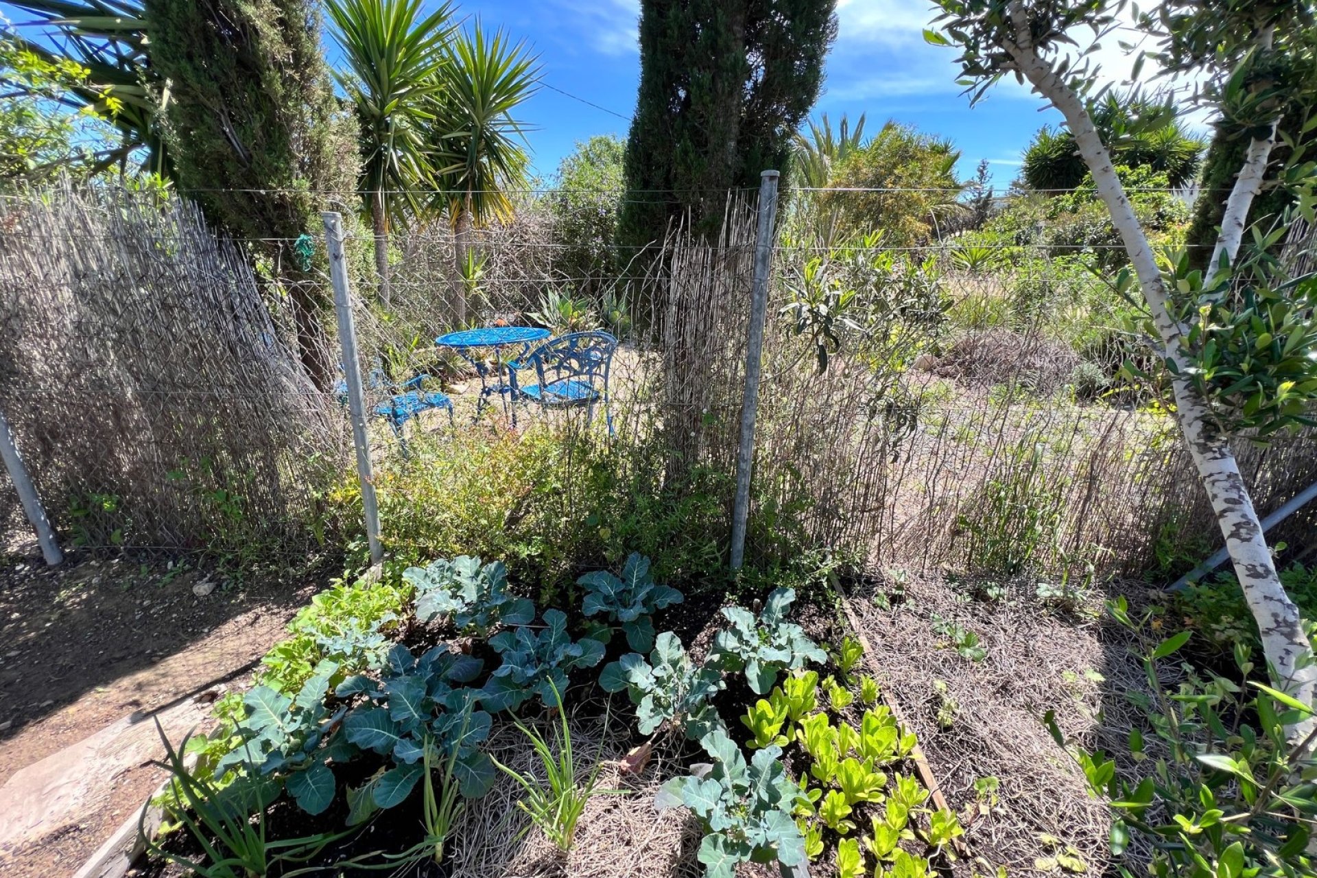 Resale - Farm Estate / Country Property - Cartagena