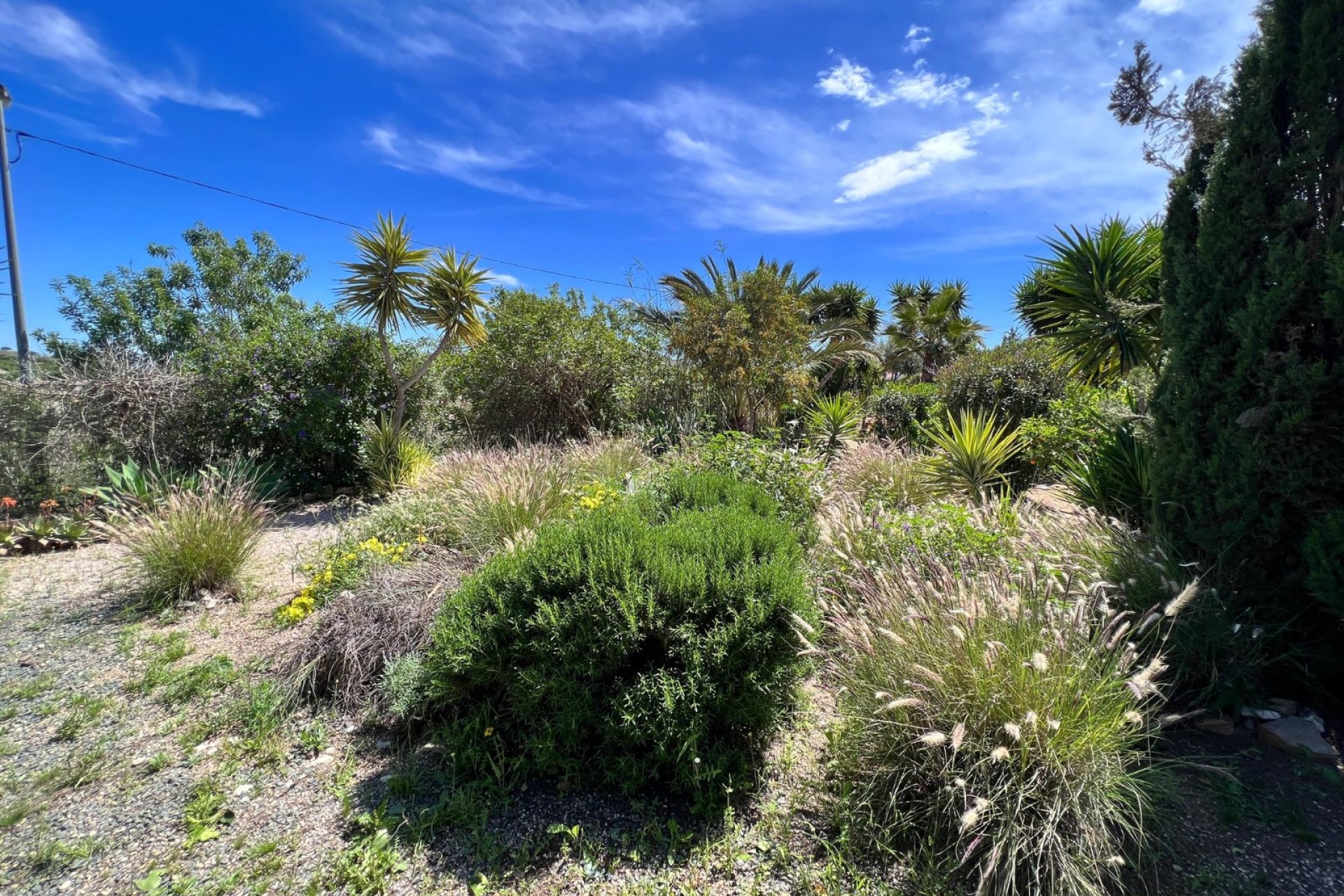 Resale - Farm Estate / Country Property - Cartagena