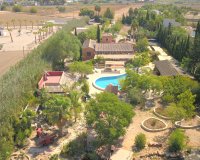 Resale - Farm Estate / Country Property - Catral - Catral - Country