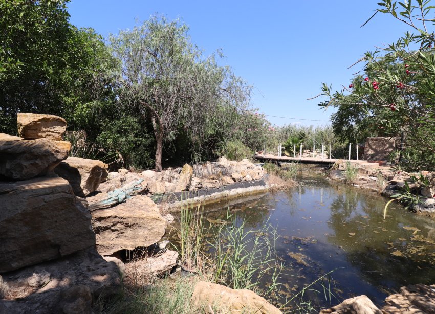 Resale - Farm Estate / Country Property - Catral - Catral - Country