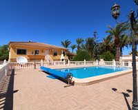 Resale - Farm Estate / Country Property - Catral - Catral - Country