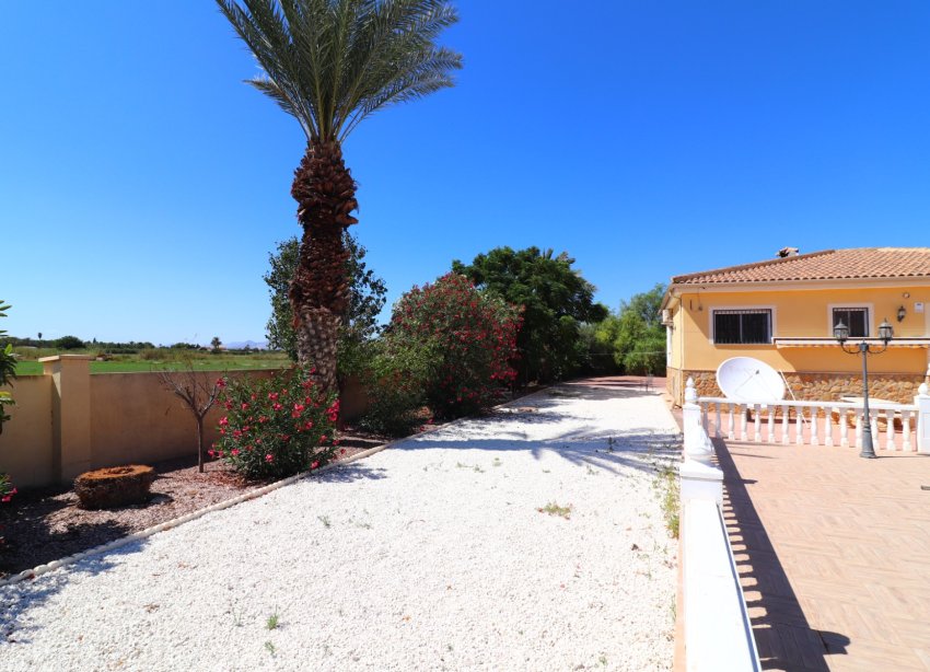 Resale - Farm Estate / Country Property - Catral - Catral - Country