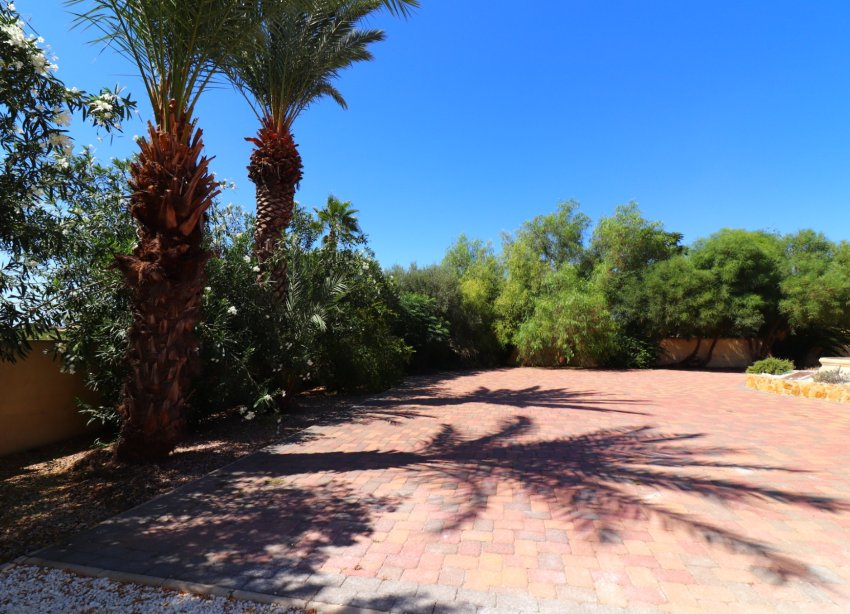 Resale - Farm Estate / Country Property - Catral - Catral - Country