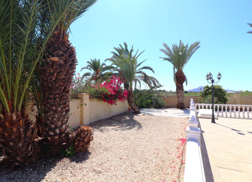 Resale - Farm Estate / Country Property - Catral - Catral - Country