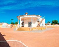 Resale - Farm Estate / Country Property - Catral - Catral - Country
