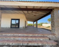 Resale - Farm Estate / Country Property - Elche - Matola