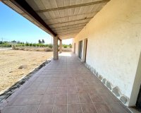Resale - Farm Estate / Country Property - Elche - Matola