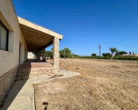 Resale - Farm Estate / Country Property - Elche - Matola