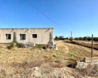 Resale - Farm Estate / Country Property - Elche - Matola