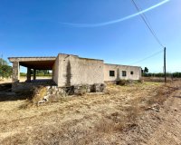 Resale - Farm Estate / Country Property - Elche - Matola