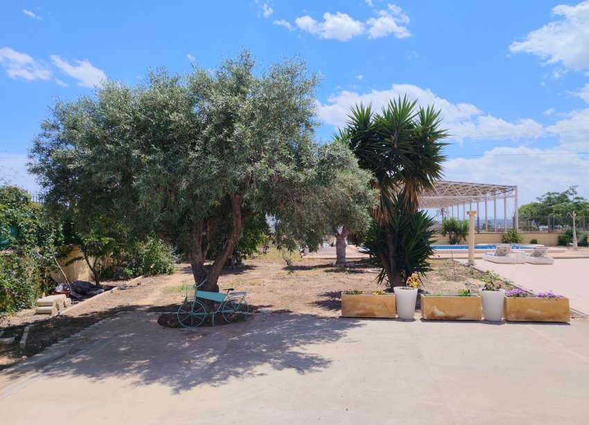 Resale - Farm Estate / Country Property - Los Montesinos