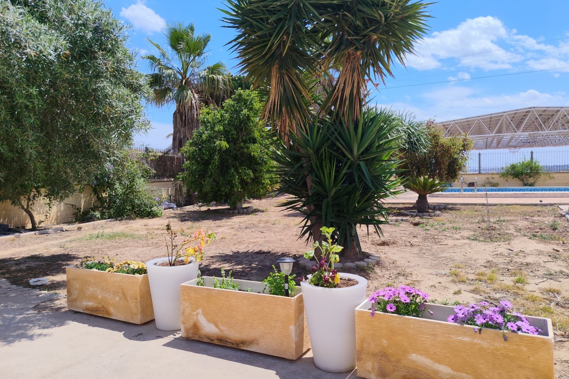 Resale - Farm Estate / Country Property - Los Montesinos