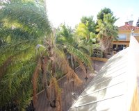 Resale - Farm Estate / Country Property - Murcia - Costa Blanca