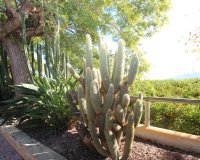 Resale - Farm Estate / Country Property - Murcia - Costa Blanca