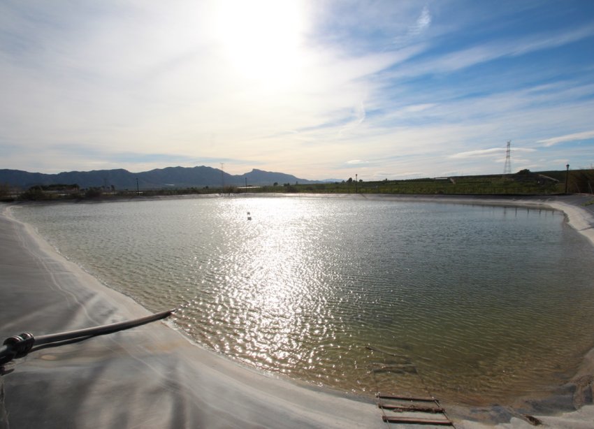 Resale - Farm Estate / Country Property - Murcia - Costa Blanca