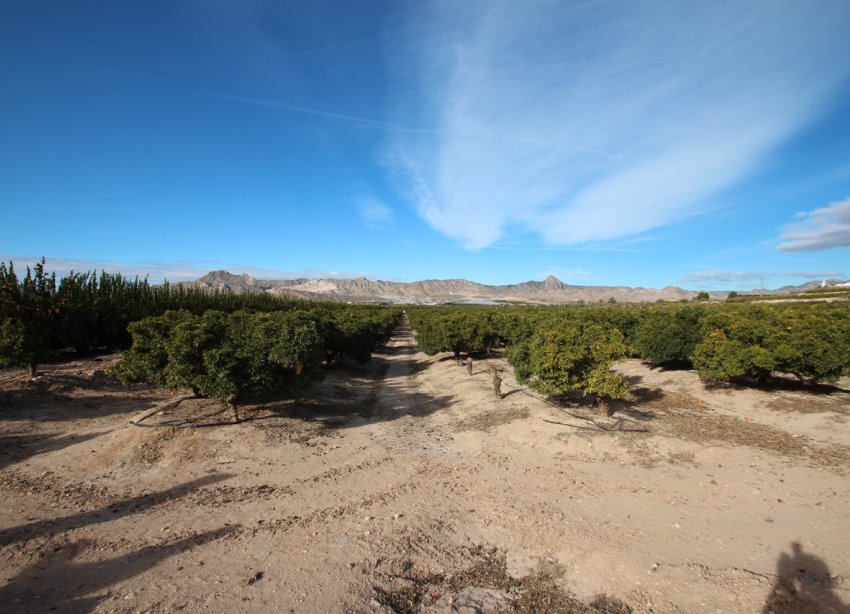 Resale - Farm Estate / Country Property - Murcia - Costa Blanca