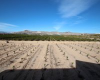 Resale - Farm Estate / Country Property - Murcia - Costa blanca