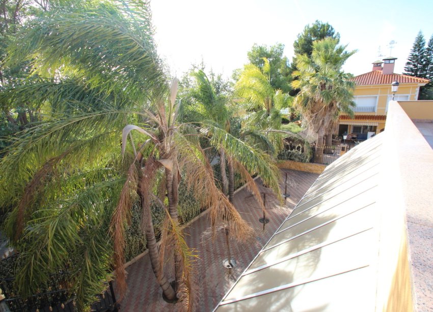 Resale - Farm Estate / Country Property - Murcia - Costa blanca