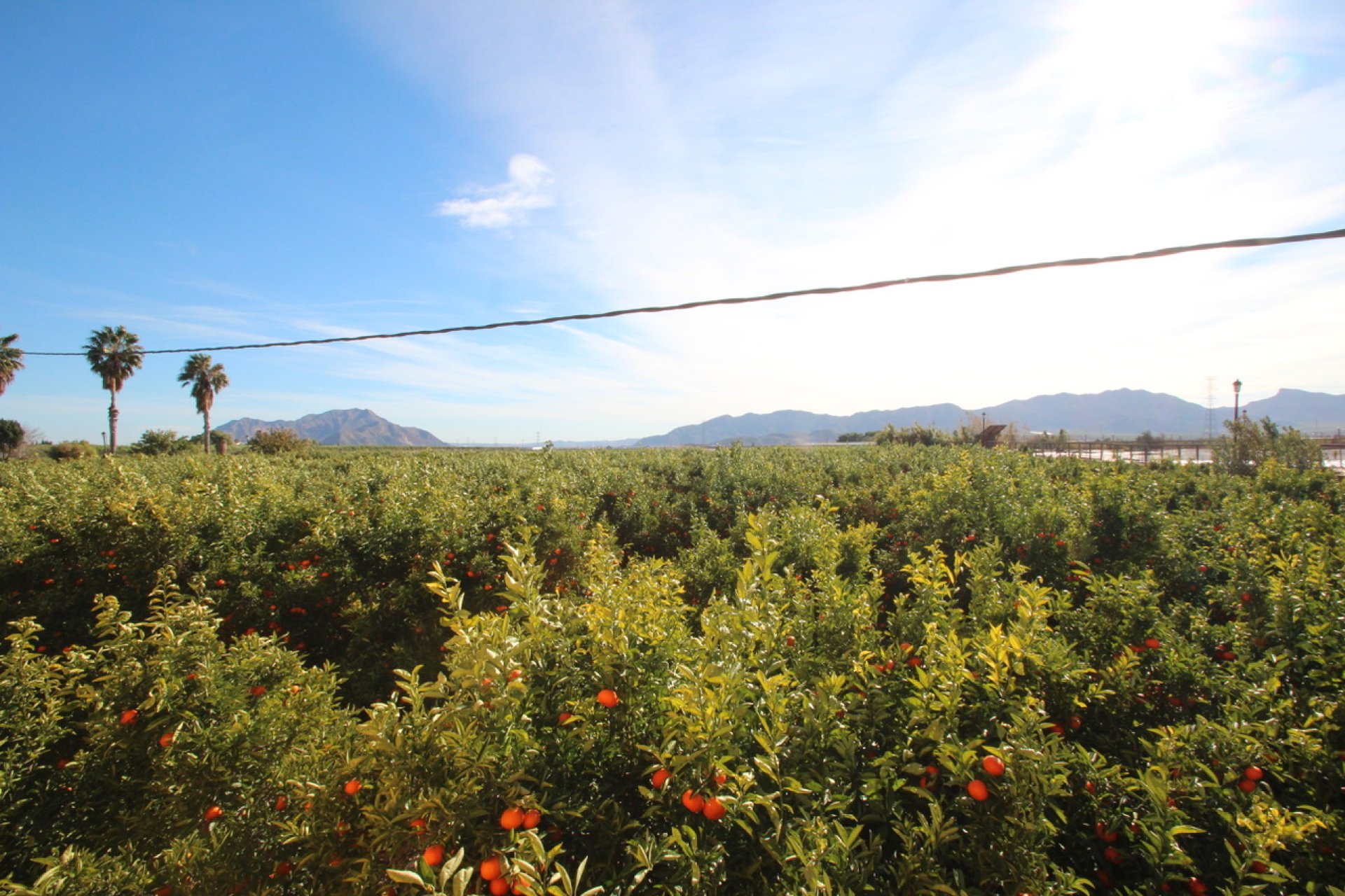 Resale - Farm Estate / Country Property - Murcia - Costa blanca