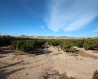 Resale - Farm Estate / Country Property - Murcia - Costa blanca