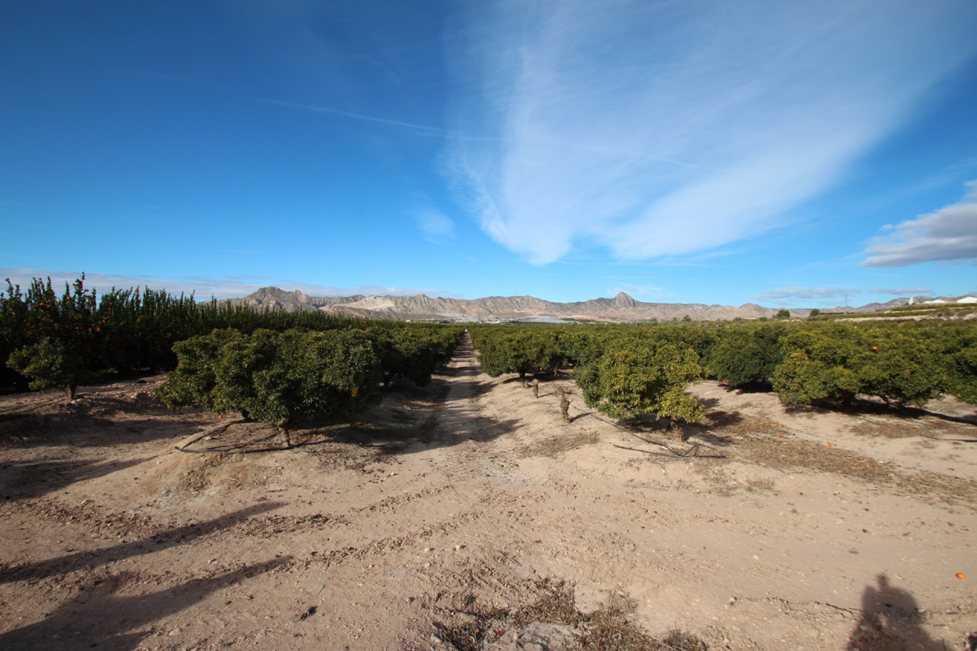 Resale - Farm Estate / Country Property - Murcia - Costa blanca