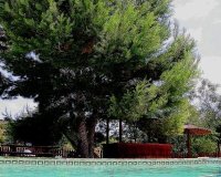 Resale - Farm Estate / Country Property - Murcia