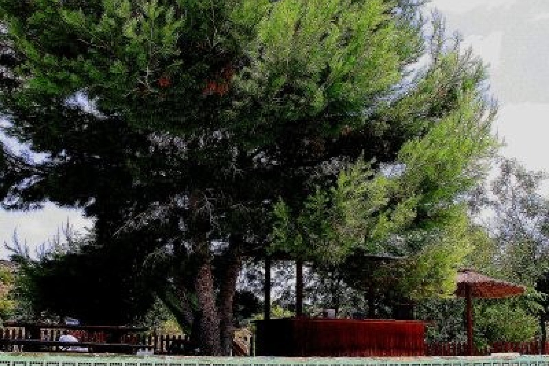 Resale - Farm Estate / Country Property - Murcia