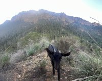 Resale - Farm Estate / Country Property - Murcia