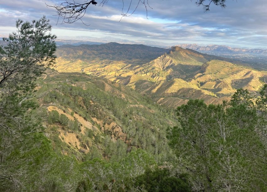 Resale - Farm Estate / Country Property - Murcia