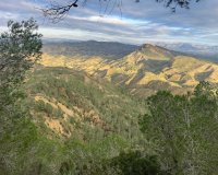 Resale - Farm Estate / Country Property - Murcia