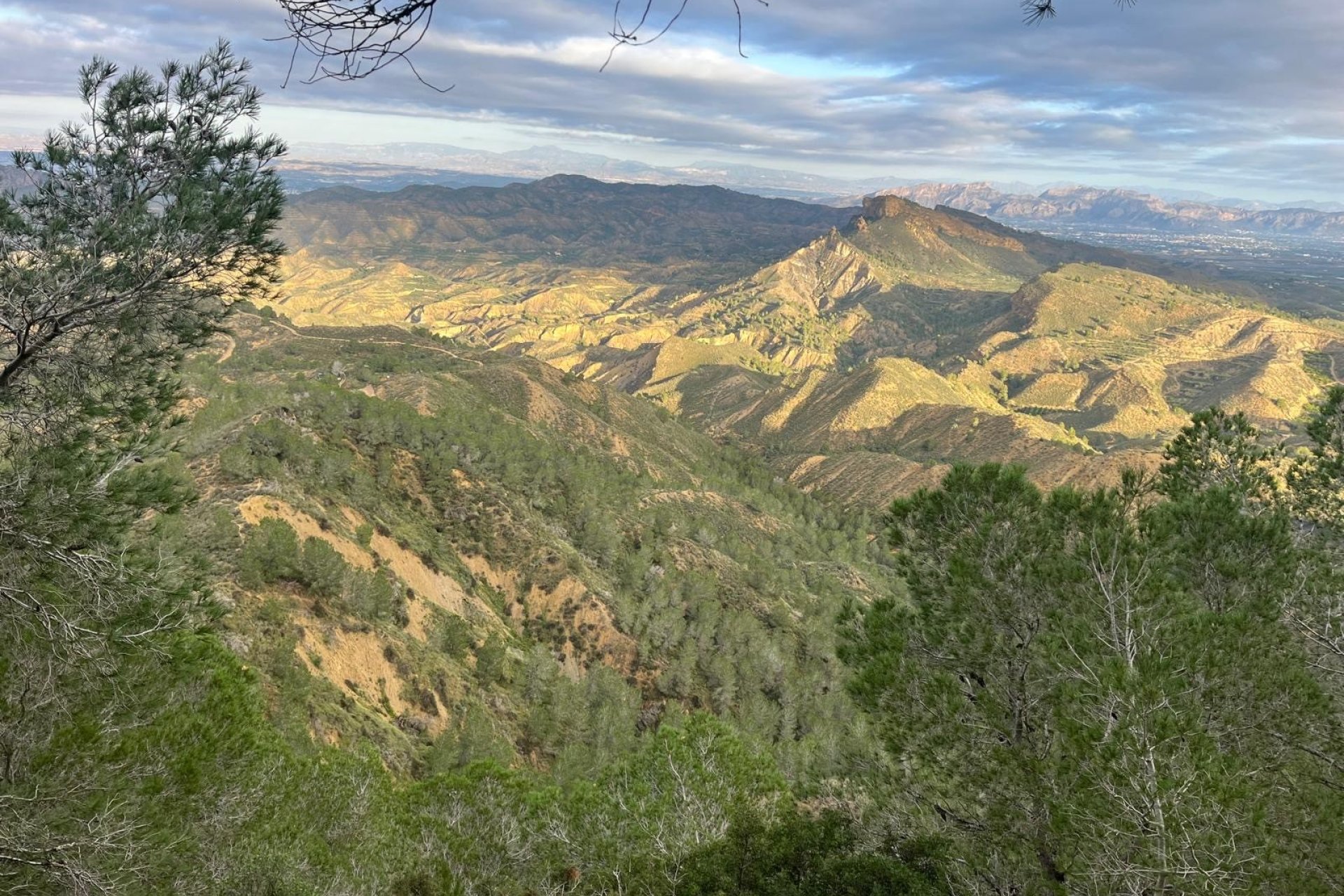 Resale - Farm Estate / Country Property - Murcia