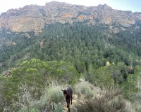 Resale - Farm Estate / Country Property - Murcia