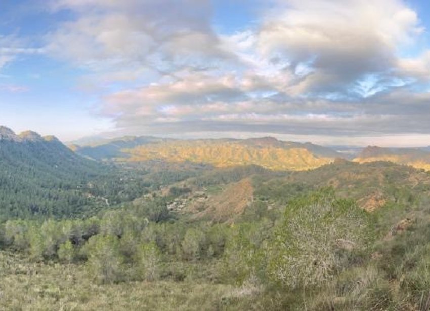 Resale - Farm Estate / Country Property - Murcia